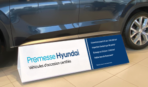 Hyundai Promesse Enseigne Pour Internet