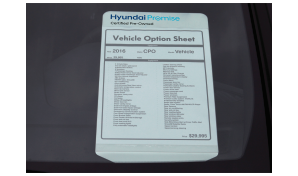 Hyundai Promise CPO Dashmaster Information Displays