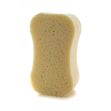 Peanut Sponge