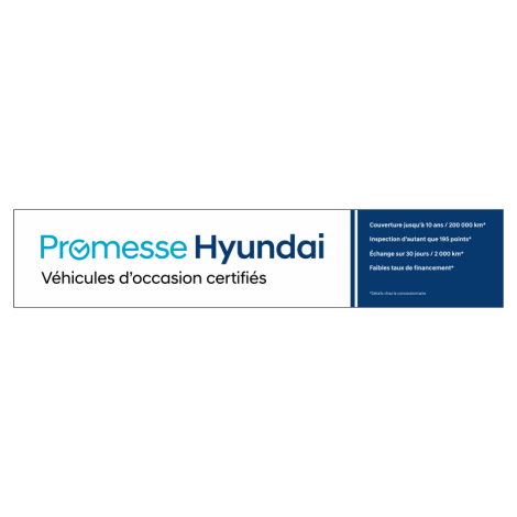 Hyundai Promesse Vignettes de pare-brise - 10 ANS