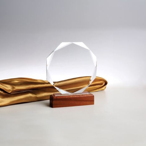Custom Laser Engraved Crystal Awards 7" tall (180mm)